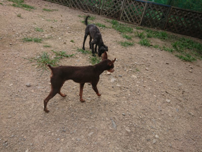 f:id:roukenhome-ann:20190708205034j:plain f:id:roukenhome-ann:20190708205034j:plain