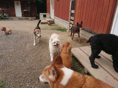 f:id:roukenhome-ann:20190708205108j:plain f:id:roukenhome-ann:20190708205108j:plain