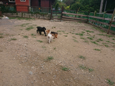 f:id:roukenhome-ann:20190708205250j:plain f:id:roukenhome-ann:20190708205250j:plain