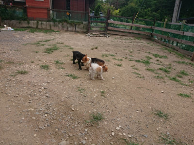 f:id:roukenhome-ann:20190708205316j:plain f:id:roukenhome-ann:20190708205316j:plain