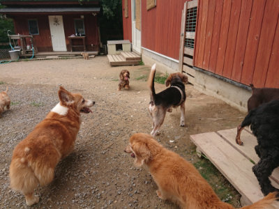f:id:roukenhome-ann:20190708205324j:plain f:id:roukenhome-ann:20190708205324j:plain