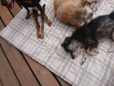 f:id:roukenhome-ann:20190708205336j:plain f:id:roukenhome-ann:20190708205336j:plain