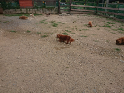 f:id:roukenhome-ann:20190708205350j:plain f:id:roukenhome-ann:20190708205350j:plain