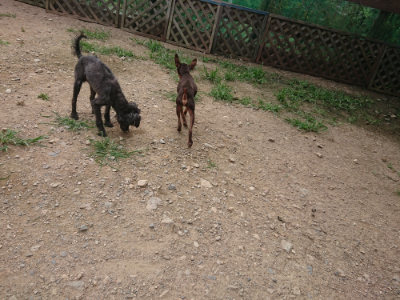 f:id:roukenhome-ann:20190708205433j:plain f:id:roukenhome-ann:20190708205433j:plain