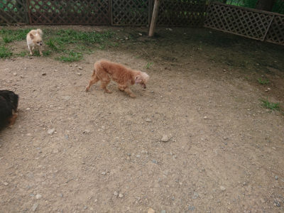 f:id:roukenhome-ann:20190708205509j:plain f:id:roukenhome-ann:20190708205509j:plain