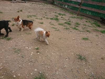 f:id:roukenhome-ann:20190708210340j:plain f:id:roukenhome-ann:20190708210340j:plain