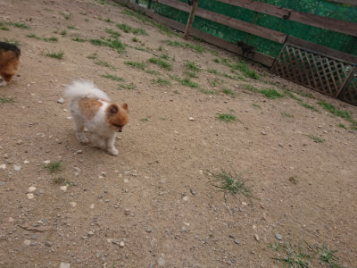 f:id:roukenhome-ann:20190708210410j:plain f:id:roukenhome-ann:20190708210410j:plain