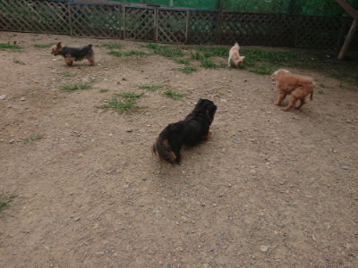 f:id:roukenhome-ann:20190708210502j:plain f:id:roukenhome-ann:20190708210502j:plain