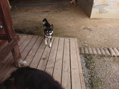 f:id:roukenhome-ann:20190708210624j:plain f:id:roukenhome-ann:20190708210624j:plain
