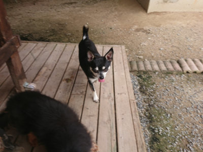 f:id:roukenhome-ann:20190708210638j:plain f:id:roukenhome-ann:20190708210638j:plain