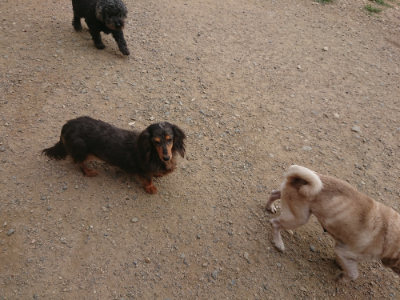 f:id:roukenhome-ann:20190708210713j:plain f:id:roukenhome-ann:20190708210713j:plain