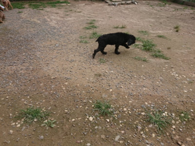 f:id:roukenhome-ann:20190708210846j:plain f:id:roukenhome-ann:20190708210846j:plain