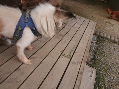 f:id:roukenhome-ann:20190708210852j:plain f:id:roukenhome-ann:20190708210852j:plain