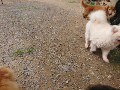 f:id:roukenhome-ann:20190708210904j:plain f:id:roukenhome-ann:20190708210904j:plain