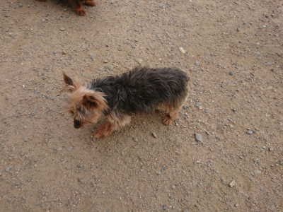 f:id:roukenhome-ann:20190708211051j:plain f:id:roukenhome-ann:20190708211051j:plain