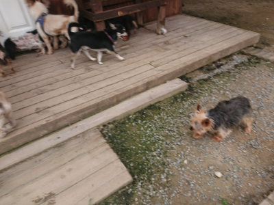f:id:roukenhome-ann:20190708211116j:plain f:id:roukenhome-ann:20190708211116j:plain