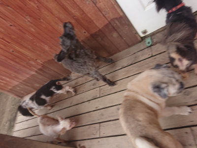 f:id:roukenhome-ann:20190708211601j:plain f:id:roukenhome-ann:20190708211601j:plain