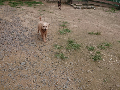 f:id:roukenhome-ann:20190708211635j:plain f:id:roukenhome-ann:20190708211635j:plain