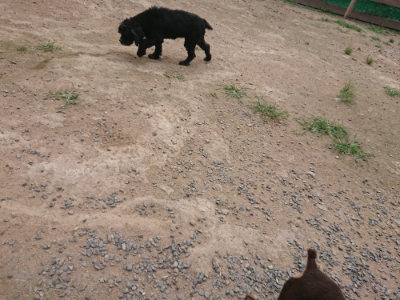 f:id:roukenhome-ann:20190708211824j:plain f:id:roukenhome-ann:20190708211824j:plain