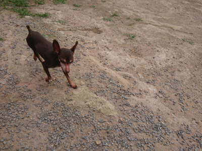 f:id:roukenhome-ann:20190708211849j:plain f:id:roukenhome-ann:20190708211849j:plain