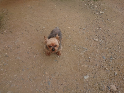 f:id:roukenhome-ann:20190708212030j:plain f:id:roukenhome-ann:20190708212030j:plain