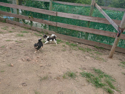 f:id:roukenhome-ann:20190708212121j:plain f:id:roukenhome-ann:20190708212121j:plain
