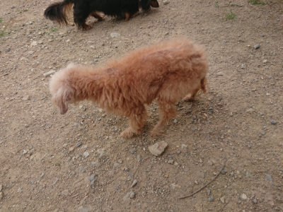 f:id:roukenhome-ann:20190708212132j:plain f:id:roukenhome-ann:20190708212132j:plain