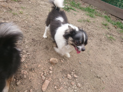 f:id:roukenhome-ann:20190708212539j:plain f:id:roukenhome-ann:20190708212539j:plain