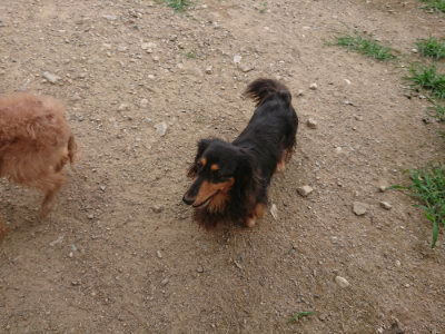 f:id:roukenhome-ann:20190708212605j:plain f:id:roukenhome-ann:20190708212605j:plain