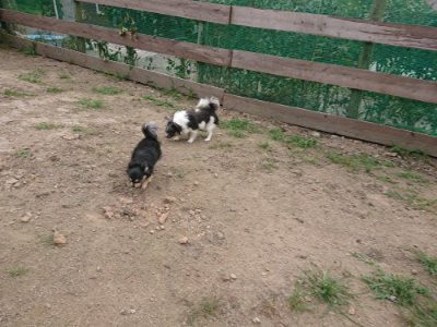 f:id:roukenhome-ann:20190708212724j:plain f:id:roukenhome-ann:20190708212724j:plain