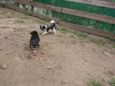 f:id:roukenhome-ann:20190708212749j:plain f:id:roukenhome-ann:20190708212749j:plain