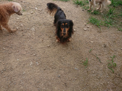 f:id:roukenhome-ann:20190708212756j:plain f:id:roukenhome-ann:20190708212756j:plain