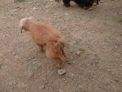f:id:roukenhome-ann:20190708212824j:plain f:id:roukenhome-ann:20190708212824j:plain