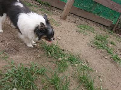 f:id:roukenhome-ann:20190708212831j:plain f:id:roukenhome-ann:20190708212831j:plain