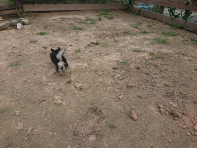 f:id:roukenhome-ann:20190708212911j:plain f:id:roukenhome-ann:20190708212911j:plain