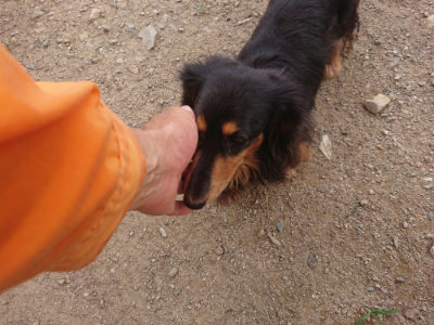 f:id:roukenhome-ann:20190708212938j:plain f:id:roukenhome-ann:20190708212938j:plain