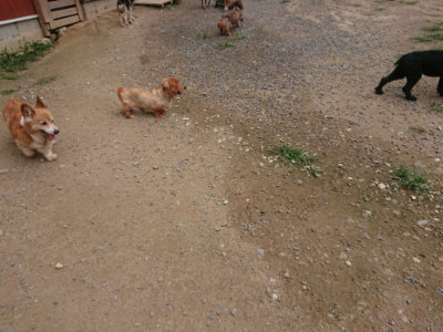 f:id:roukenhome-ann:20190708213108j:plain f:id:roukenhome-ann:20190708213108j:plain
