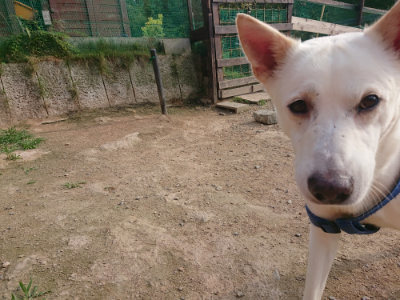 f:id:roukenhome-ann:20190709050131j:plain f:id:roukenhome-ann:20190709050131j:plain