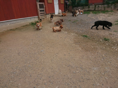 f:id:roukenhome-ann:20190709050149j:plain f:id:roukenhome-ann:20190709050149j:plain