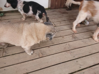 f:id:roukenhome-ann:20190709050211j:plain f:id:roukenhome-ann:20190709050211j:plain
