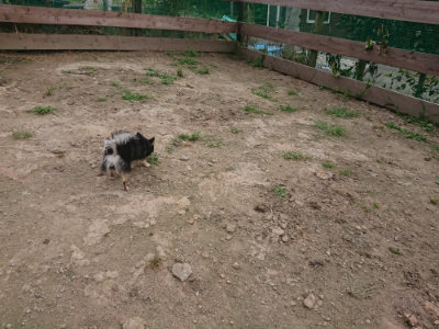 f:id:roukenhome-ann:20190709050219j:plain f:id:roukenhome-ann:20190709050219j:plain