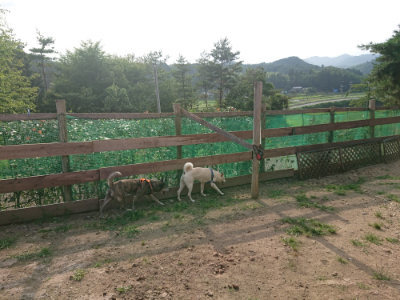 f:id:roukenhome-ann:20190709050304j:plain f:id:roukenhome-ann:20190709050304j:plain