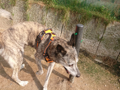 f:id:roukenhome-ann:20190709050322j:plain f:id:roukenhome-ann:20190709050322j:plain