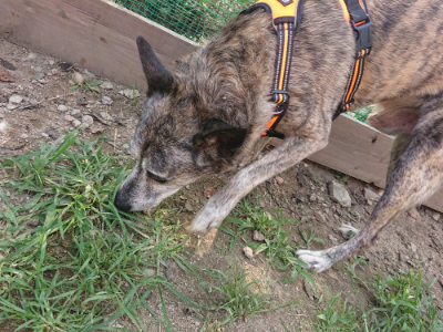 f:id:roukenhome-ann:20190709050341j:plain f:id:roukenhome-ann:20190709050341j:plain