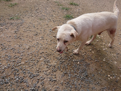 f:id:roukenhome-ann:20190709050345j:plain f:id:roukenhome-ann:20190709050345j:plain