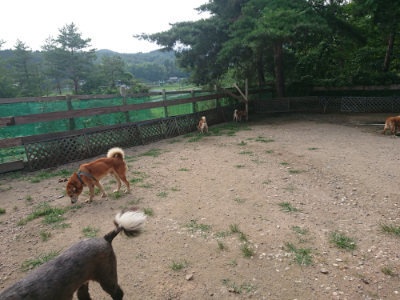 f:id:roukenhome-ann:20190709050421j:plain f:id:roukenhome-ann:20190709050421j:plain