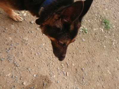f:id:roukenhome-ann:20190709050429j:plain f:id:roukenhome-ann:20190709050429j:plain