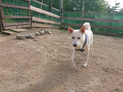 f:id:roukenhome-ann:20190709050745j:plain f:id:roukenhome-ann:20190709050745j:plain