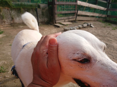 f:id:roukenhome-ann:20190709050851j:plain f:id:roukenhome-ann:20190709050851j:plain
