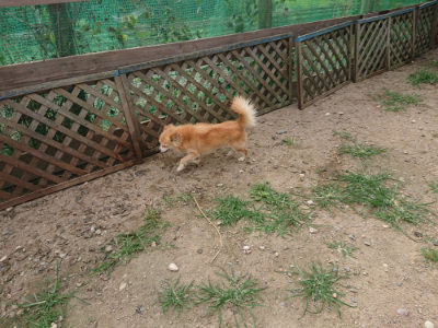 f:id:roukenhome-ann:20190709050932j:plain f:id:roukenhome-ann:20190709050932j:plain